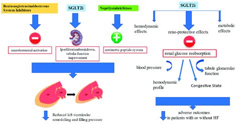 bhutan raasi|Prescription of renin‐angiotensin‐aldosterone system inhibitors .